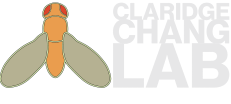 Claridge-Chang Lab
